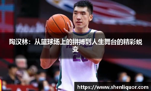 陶汉林：从篮球场上的拼搏到人生舞台的精彩蜕变