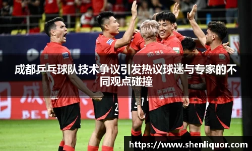 成都乒乓球队技术争议引发热议球迷与专家的不同观点碰撞